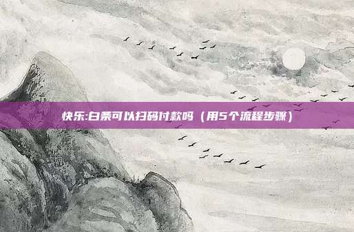 快乐:白条可以扫码付款吗（用5个流程步骤）