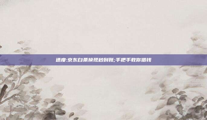 速度:京东白条换现秒到账;手把手教你借钱