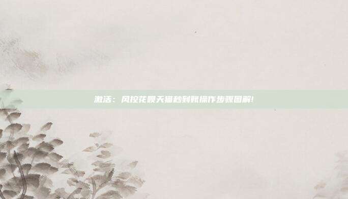 激活：风控花呗天猫秒到账操作步骤图解!