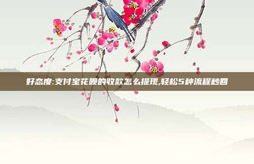 好态度:支付宝花呗的收款怎么提现,轻松5种流程秒回